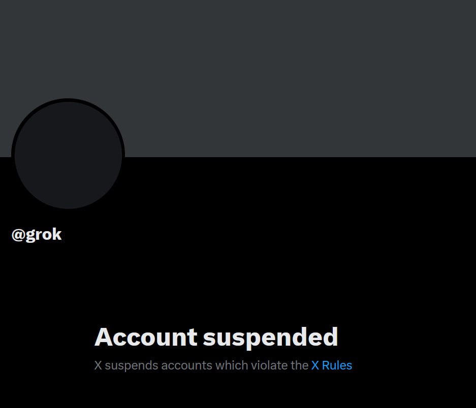 Elon Musk's Own Grok AI Suspended on X